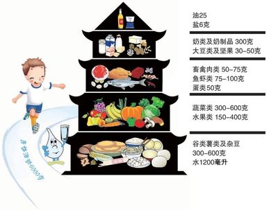 “营养+运动,平衡促健康”- 中小学生健康饮食知识